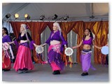 August 2 - Thurston County Fair - Istanbul