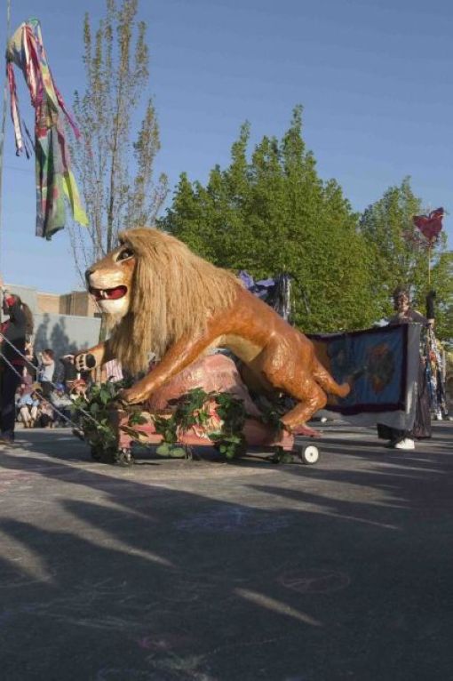 Lion on the prowl
