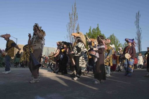 The big cats have rhythm
