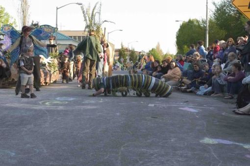 Inch worm doing the procession the hard way
