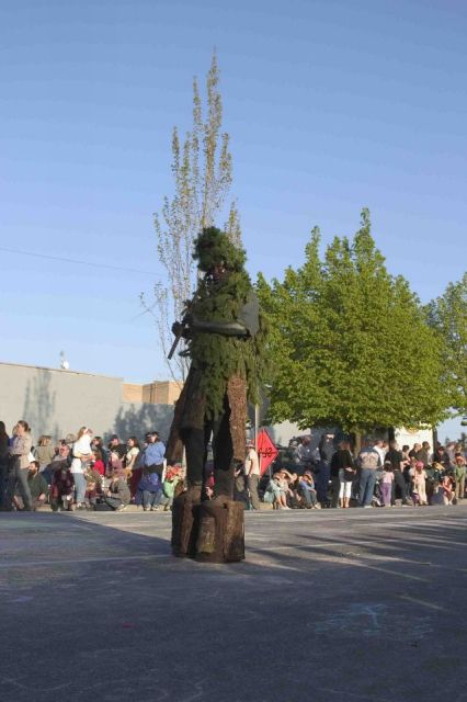 The tree is taller this year
