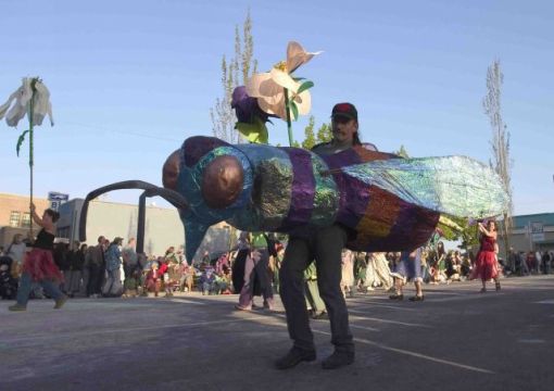 Blue bottle fly, maybe...
