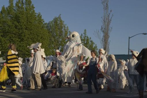 A bigger dove group this year
