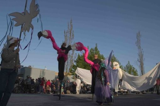 Standouts in the dove group
