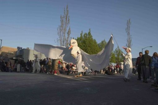 A dove spreading wings and peace