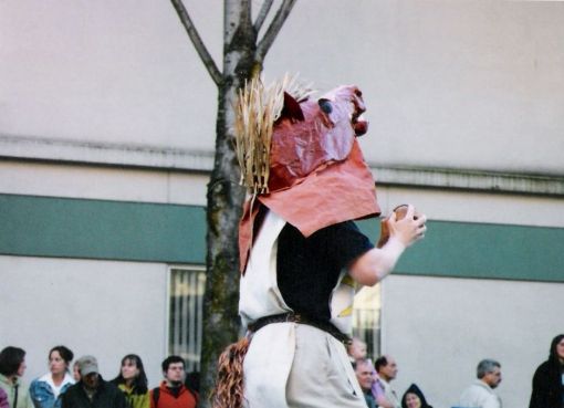 A horse - of course