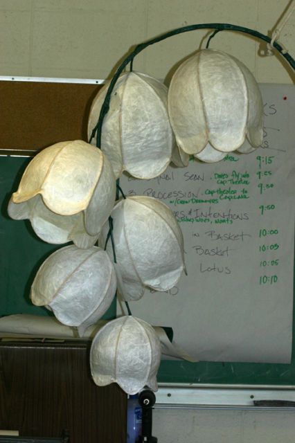 Beautiful luminary flowers
