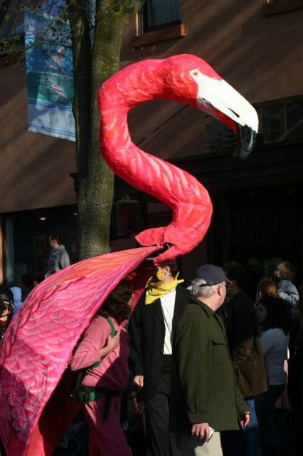 Birds look good in pink
