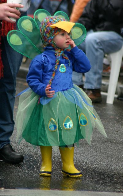 Little bird struts her stuff
